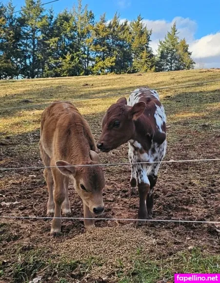 Lexxi Love27 OnlyFans Thumbnail #oo5Ygk3daQ