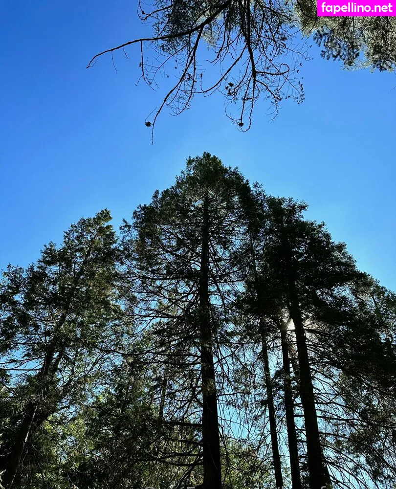 lexyforester Nude Leaked OnlyFans Photo #WA0AcEuBRe