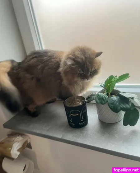 Lia Andersson OnlyFans Thumbnail #dCu82hv1Hp