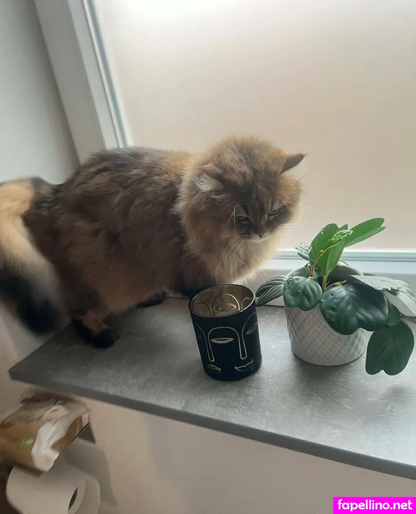 lia_andersson, liasandersson Nude Leaked OnlyFans Photo #dCu82hv1Hp