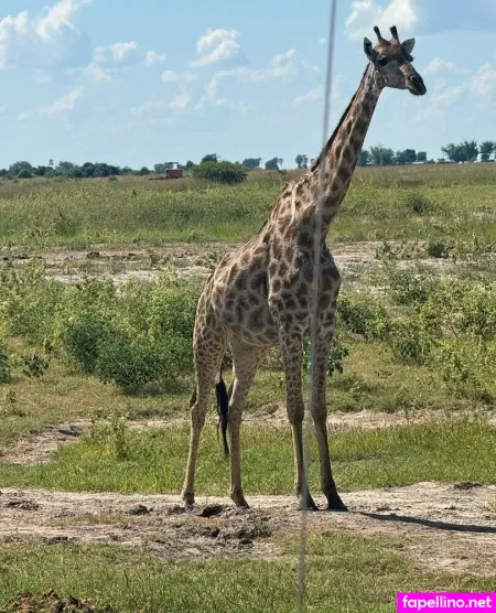 Lia Ann Main Profile Photo