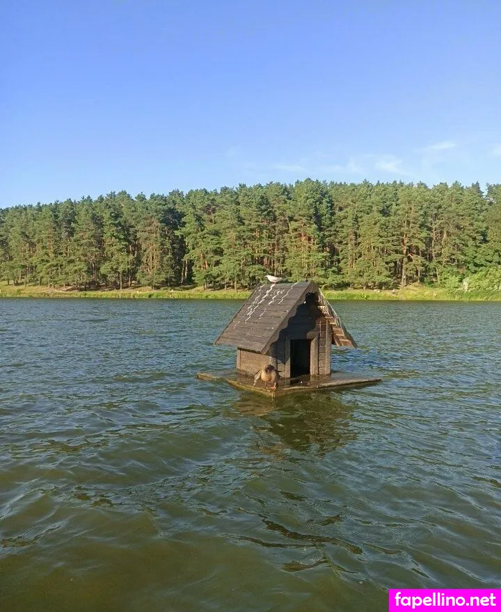 lil_kitty_yy, lilkiittyy Nude Leaked OnlyFans Photo #HNRyaTLPZC