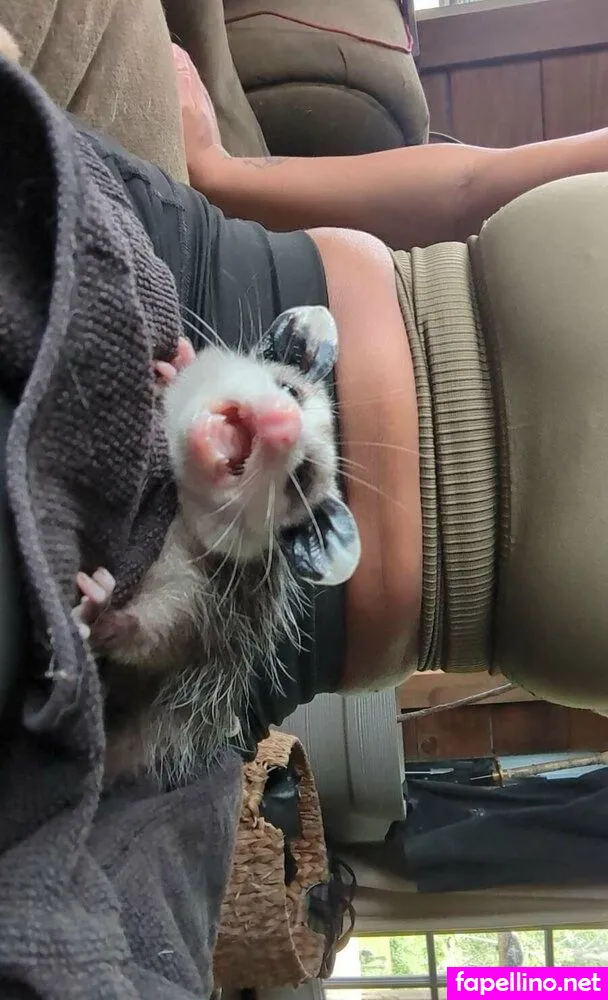 lilah_free, lilahfree Nude Leaked OnlyFans Photo #5XkFMxCaVR