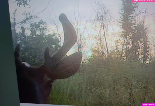 Lilah Free Main Profile Photo