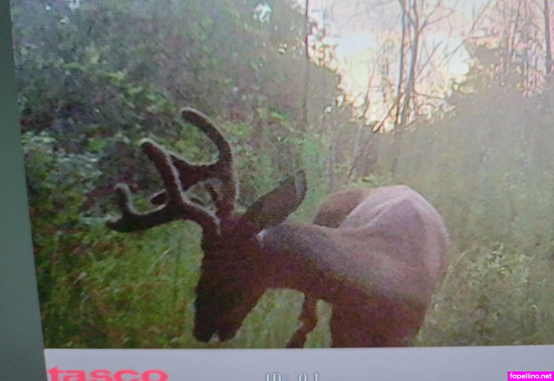 lilah_free, lilahfree Nude Leaked OnlyFans Photo #LA6IWERAWW