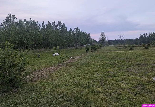 Lilah Free OnlyFans Thumbnail #mskelaIORi