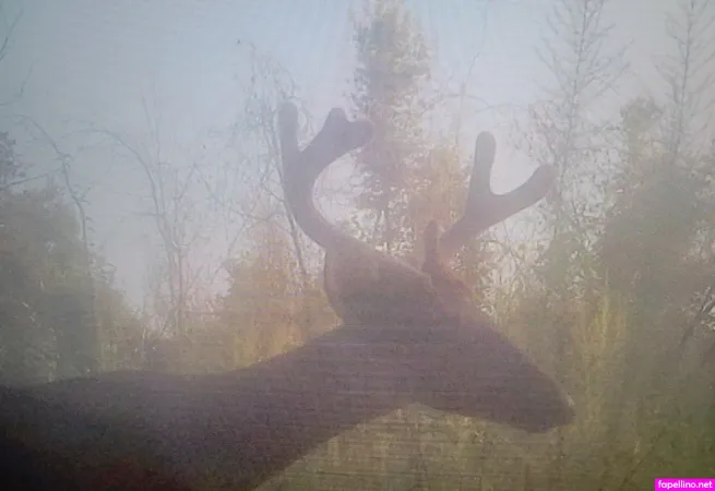 Lilah Free OnlyFans Thumbnail #toeyPp1Dfz