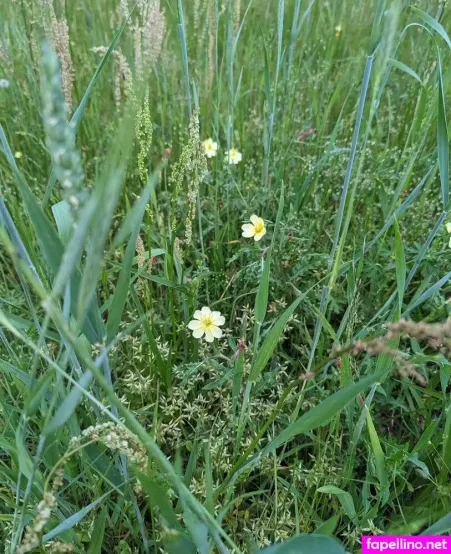 Lilah Free OnlyFans Thumbnail #y658az17Gt