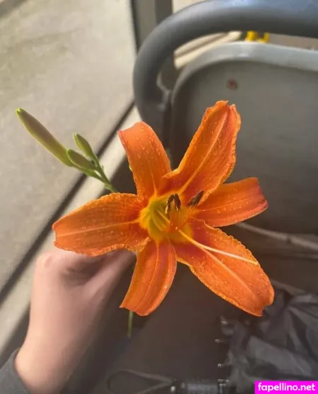 Lilfoxyts OnlyFans Thumbnail #113g0hyz7c