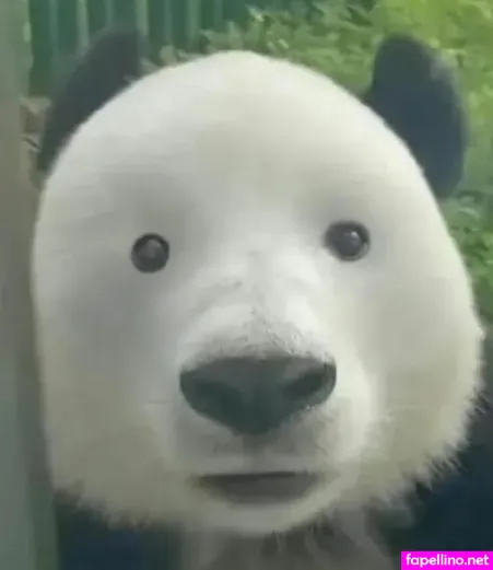 Lilibet OnlyFans Thumbnail #qqpRH0O56P