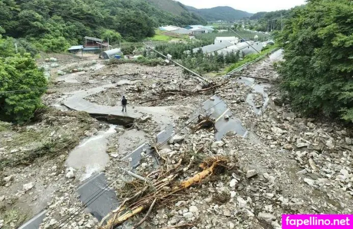 Lilikateixeira Main Profile Photo