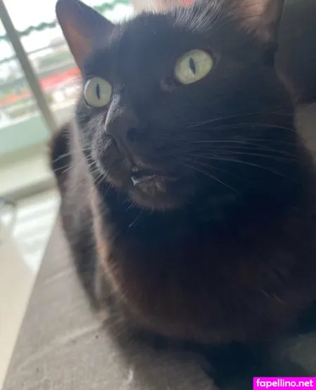 Lilithd58 OnlyFans Thumbnail #Jd4VlyZqEV