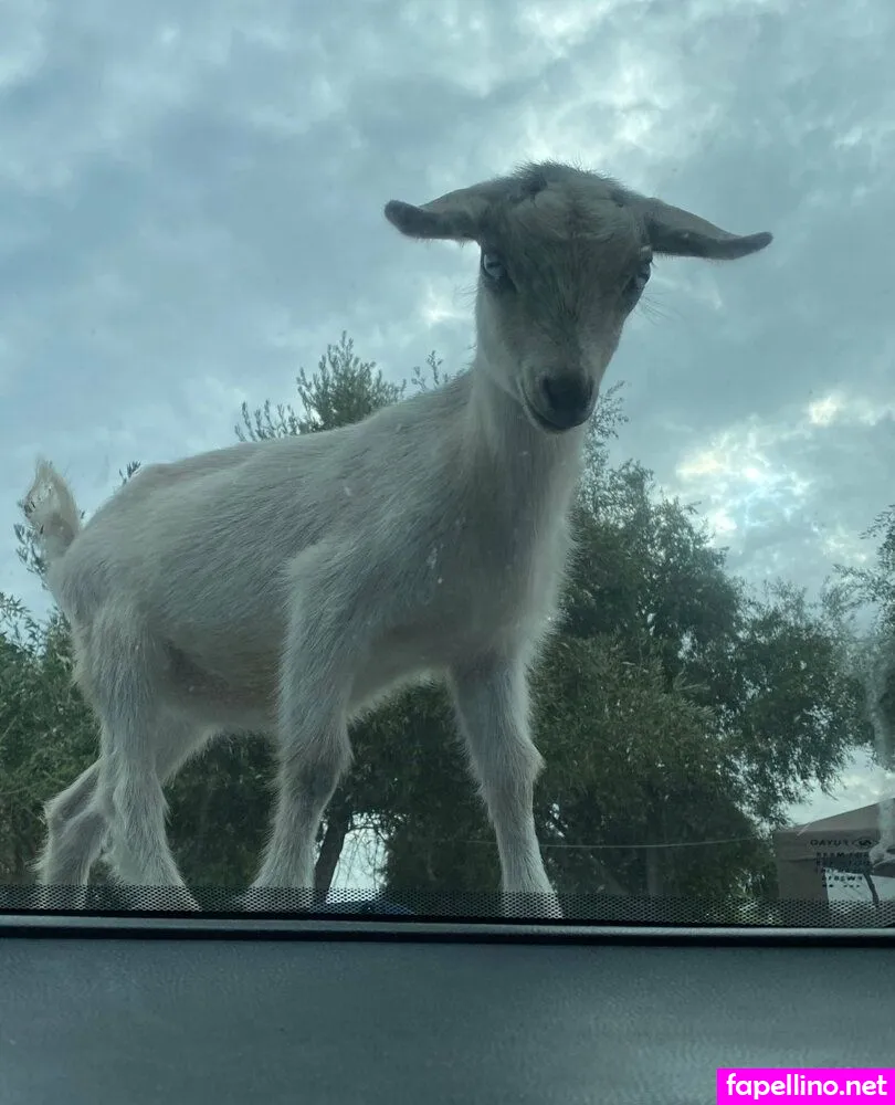 lilsugarsweetartist Nude Leaked OnlyFans Photo #fRipqINT8R