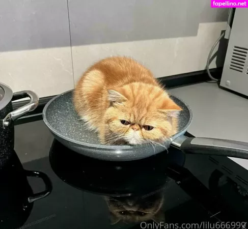 Lilu666999 OnlyFans Thumbnail #2xzHCJTjcB
