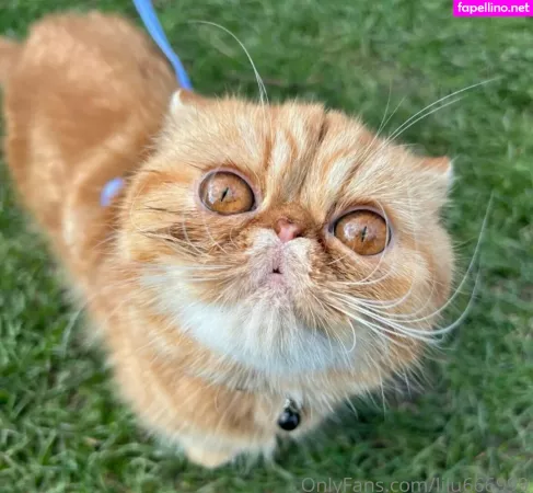 Lilu666999 OnlyFans Thumbnail #4dcReBovrr