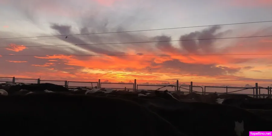 Lilwhitebitch OnlyFans Thumbnail #uPLTwdp3K3