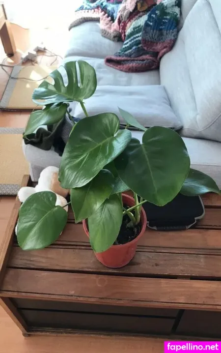 Lilyofthevalleyyyy OnlyFans Thumbnail #65Q7ZaaTiY