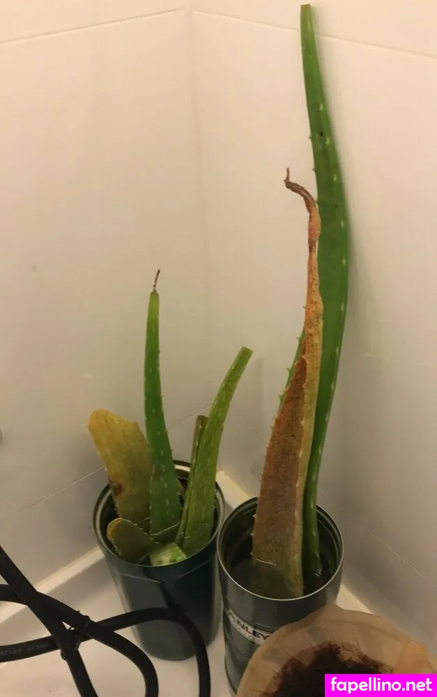 lilyofthevalleyyyy Nude Leaked OnlyFans Photo #aNVUBCV441