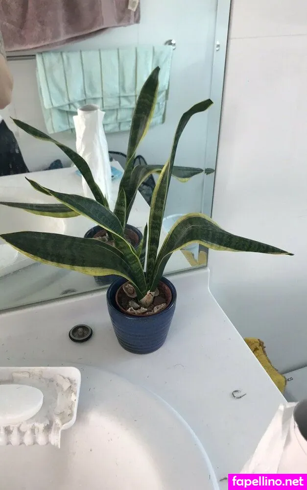 lilyofthevalleyyyy Nude Leaked OnlyFans Photo #eHdJr4YCw3