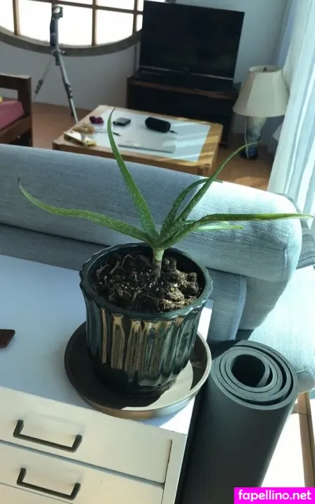 Lilyofthevalleyyyy OnlyFans Thumbnail #ueDqWVYLZ6