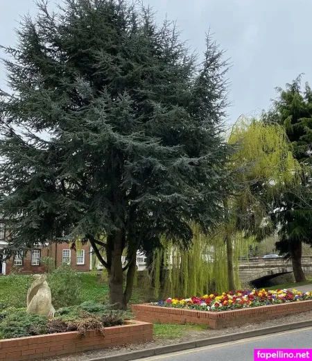 Lilypink 1 OnlyFans Thumbnail #qPpR8bsgmq