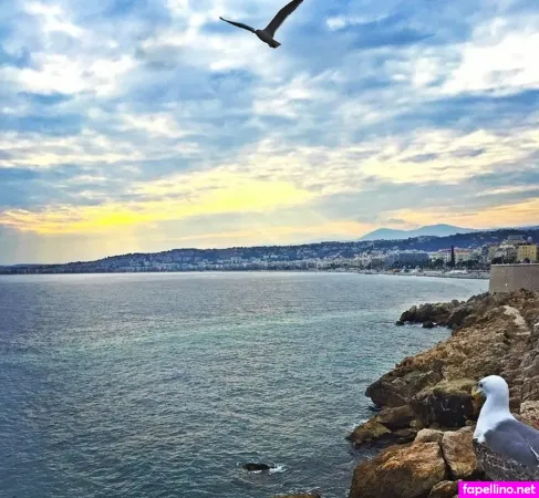 Lindsay Hydorn OnlyFans Thumbnail #iY1aTBGHVX