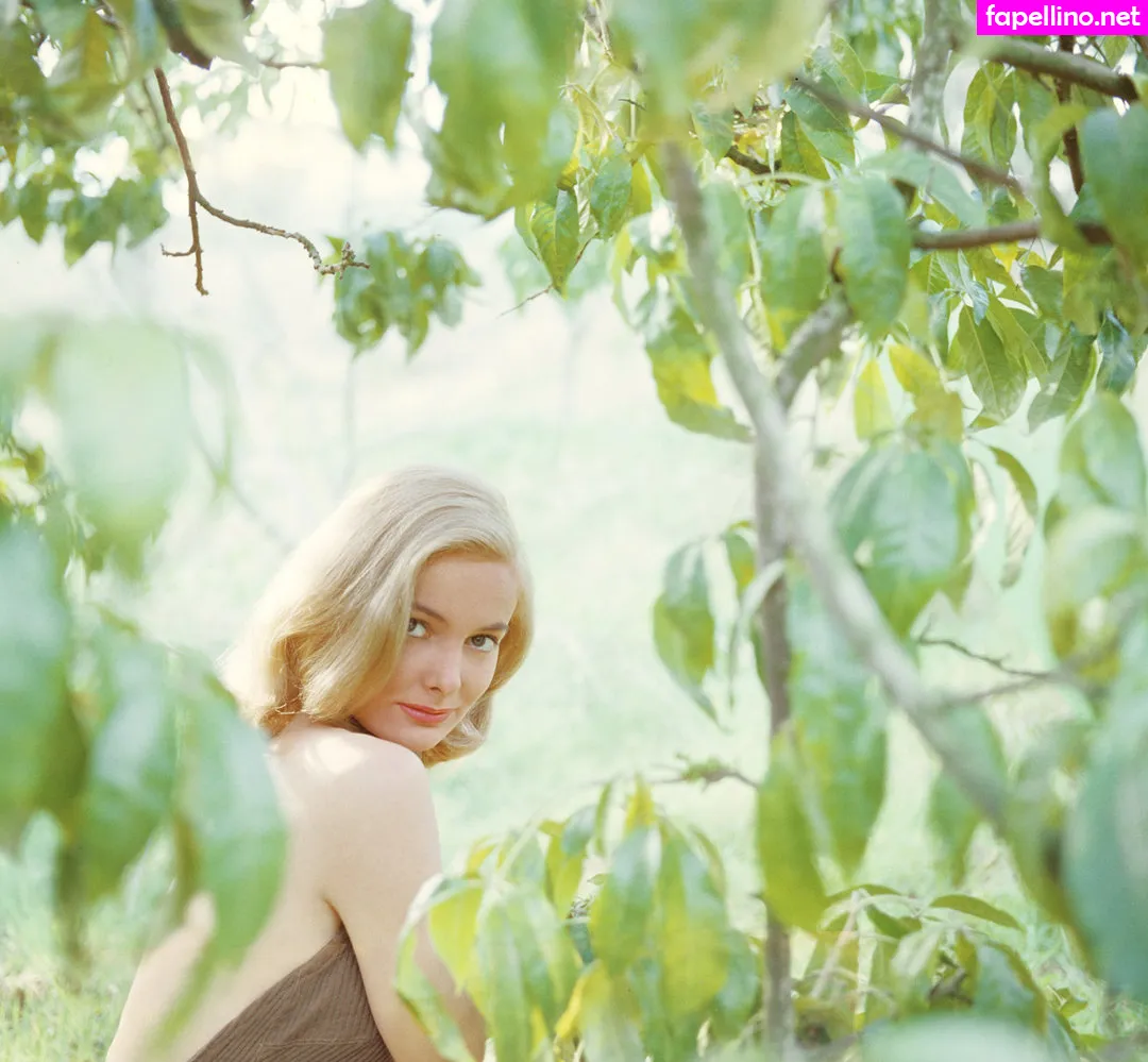 Linne Nanette Ahlstrand Nude Leaked OnlyFans Photo #PTTb9oAX9o