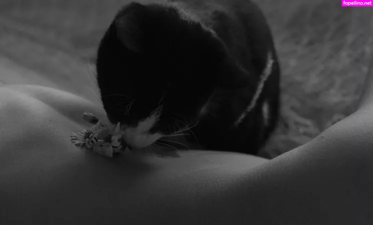 Liqweedacid OnlyFans Thumbnail #3LWM58PLx3