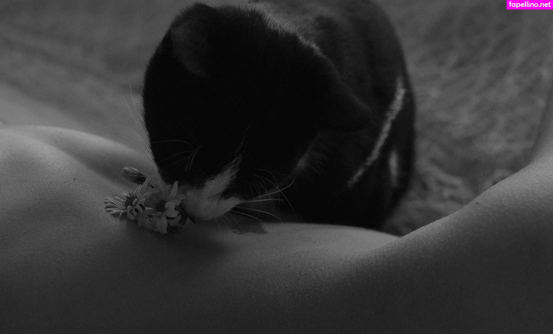 liqweedacid Nude Leaked OnlyFans Photo #3LWM58PLx3