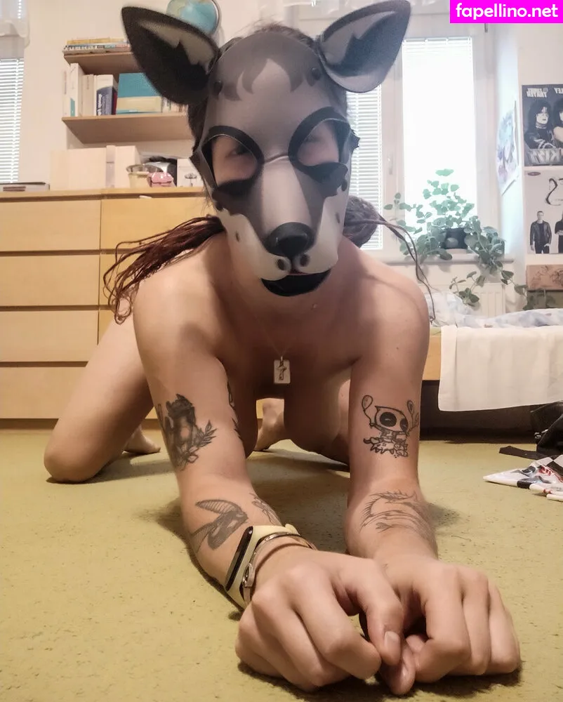 Zuki Littleaxl, https:, littleaxl699, littlleaxl699 Nude Leaked OnlyFans Photo #g1dUaRsKrc