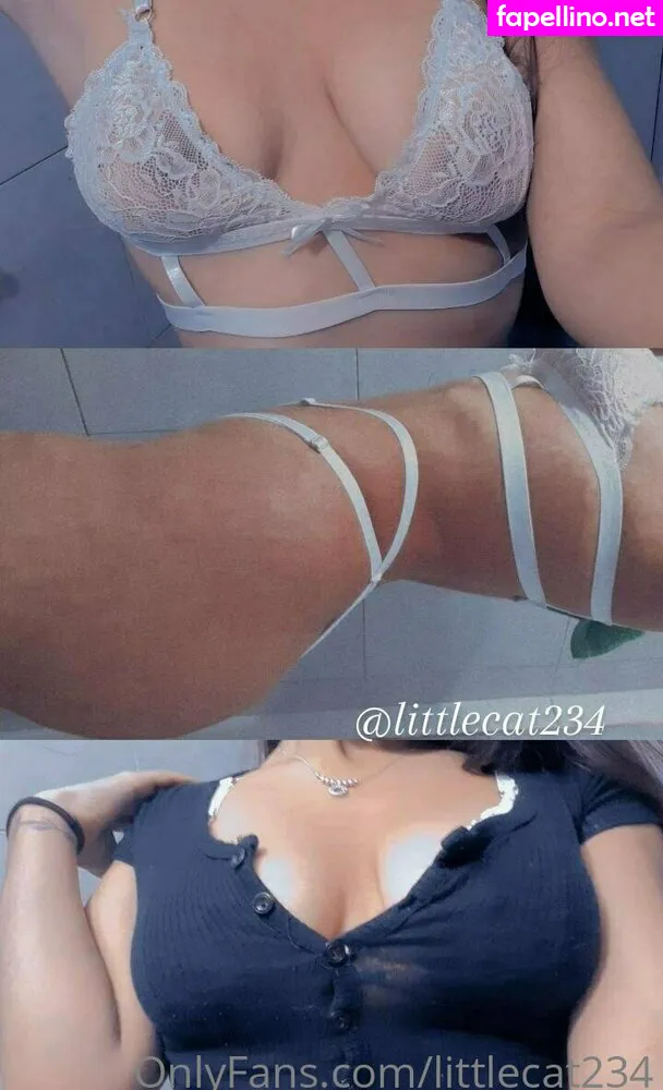 littlecat234 Nude Leaked OnlyFans Photo #694e7IvReu