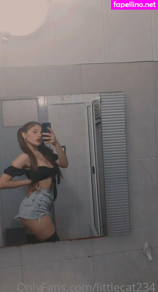 littlecat234 Nude Leaked OnlyFans Photo #HCX3LVB9GZ