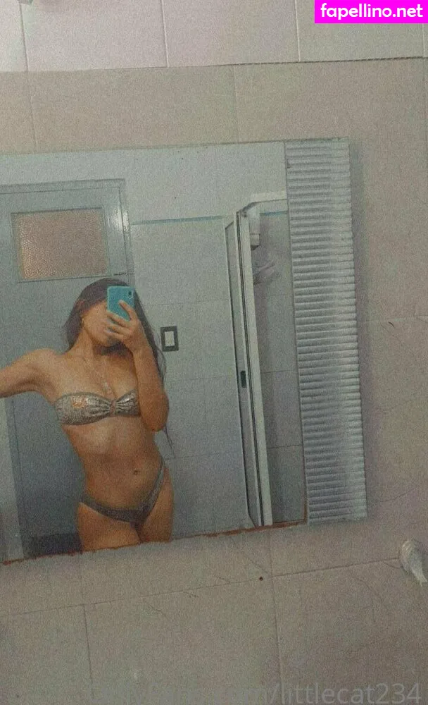 littlecat234 Nude Leaked OnlyFans Photo #a3V4Uo7h2K