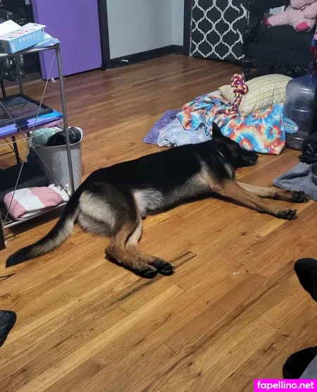 Littleelfy69 OnlyFans Thumbnail #1Ocbtik1N4