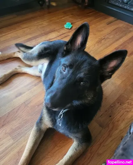 Littleelfy69 OnlyFans Thumbnail #BjRgGA5zVp