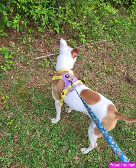 Littleelfy69 OnlyFans Thumbnail #IwhfxKLMPU