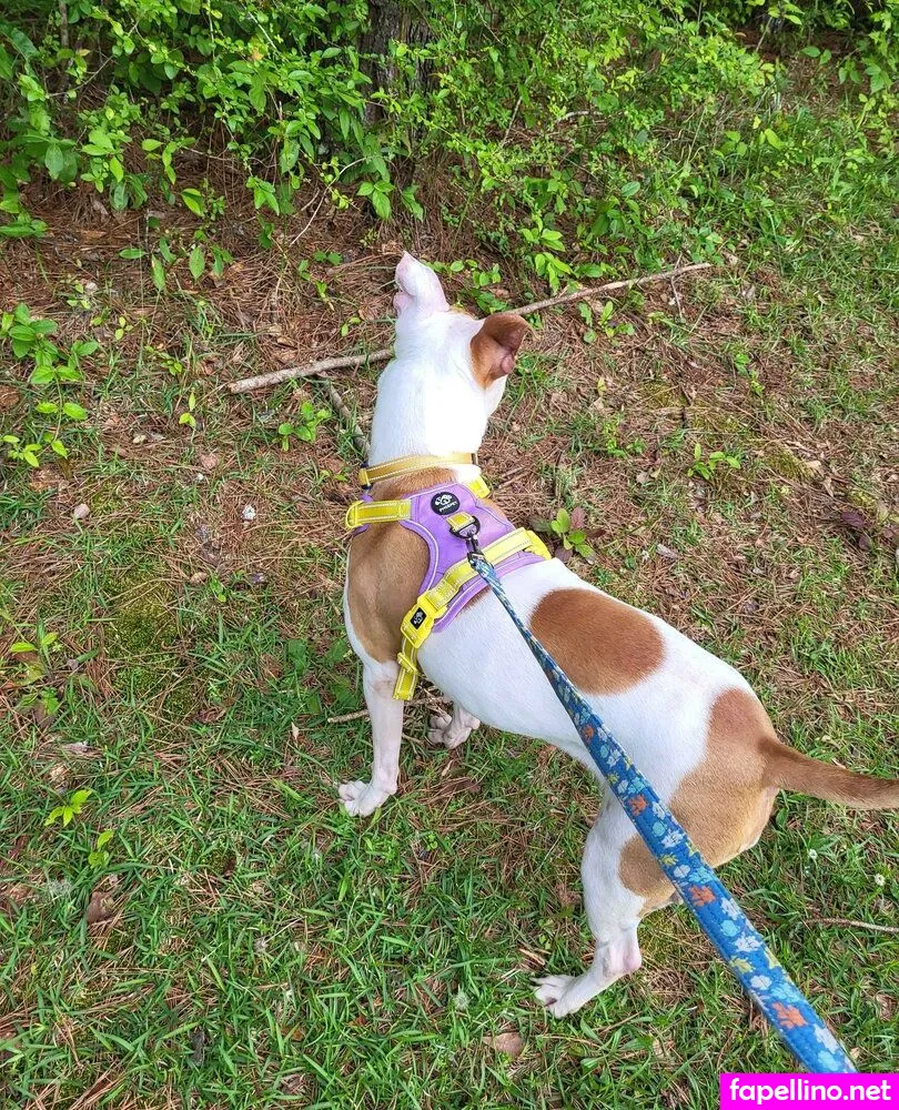 littleelfy69, reel Nude Leaked OnlyFans Photo #IwhfxKLMPU