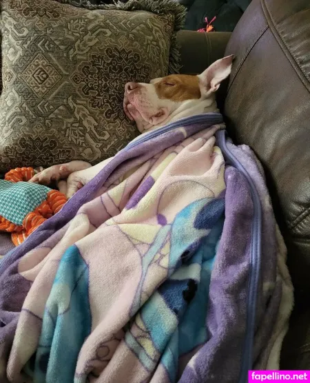 Littleelfy69 OnlyFans Thumbnail #Oci57ZDw9X