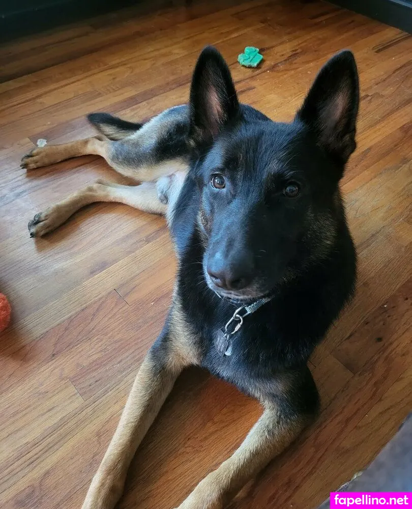 littleelfy69, reel Nude Leaked OnlyFans Photo #af90LigAXI