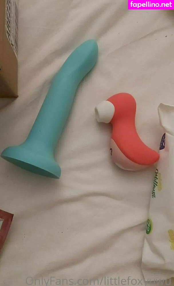 littlefoxyuwu Nude Leaked OnlyFans Photo #HzUFDKyHHq