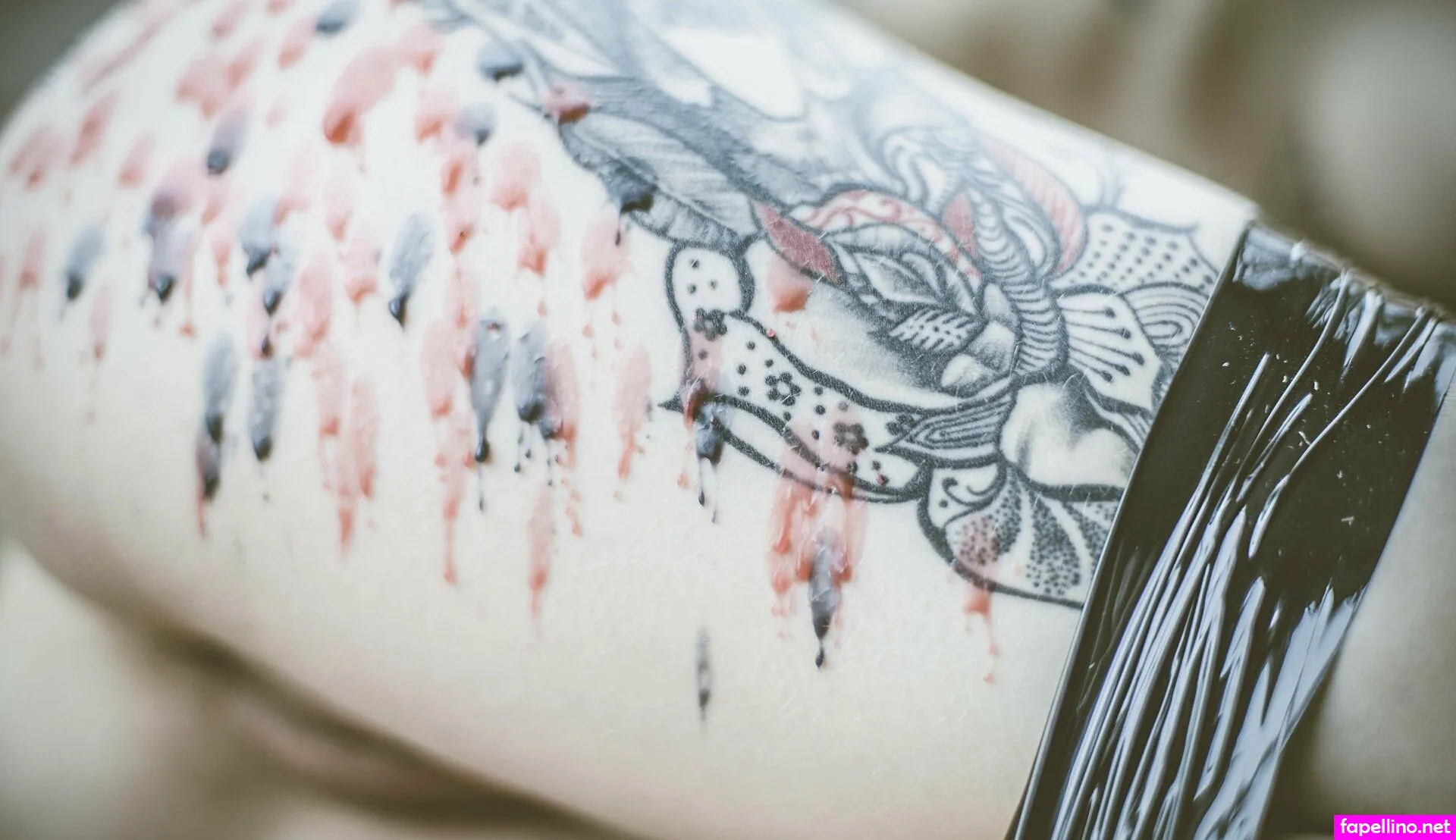 Princess Bubblegum, Xo_littlej Nude Leaked OnlyFans Photo #ZvKDXJHgOj