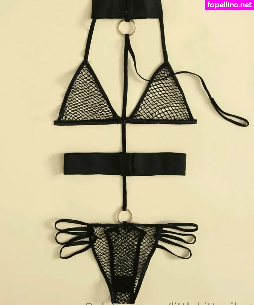 littlekitty.riley, rileythefluffycat Nude Leaked OnlyFans Photo #R2IwwBoxUf