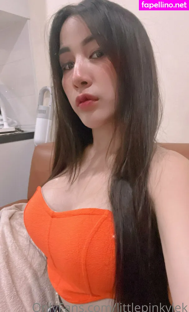 littlepinkylek, littlepinkyme Nude Leaked OnlyFans Photo #M0aWixj8Fi