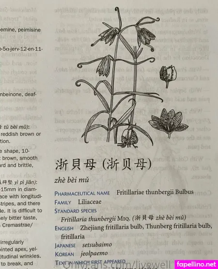 Livewell Withkate OnlyFans Thumbnail #RQytFafJBP