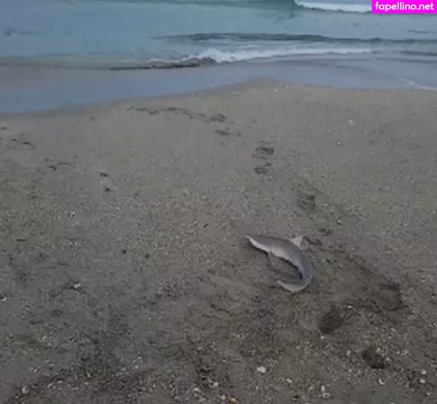 Livstixs OnlyFans Thumbnail #eVH5NrIFoc