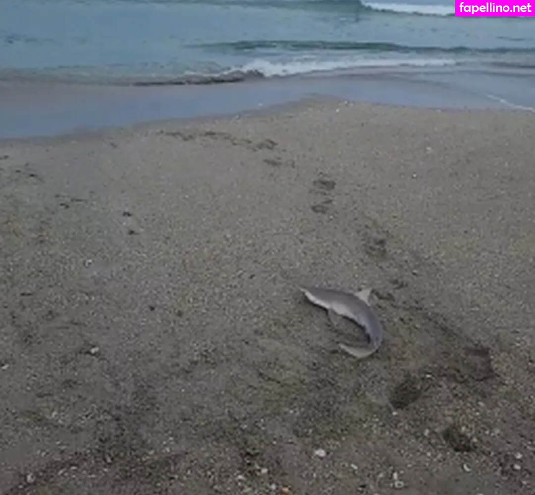 Livstixs, Simp Chat Nude Leaked OnlyFans Photo #eVH5NrIFoc