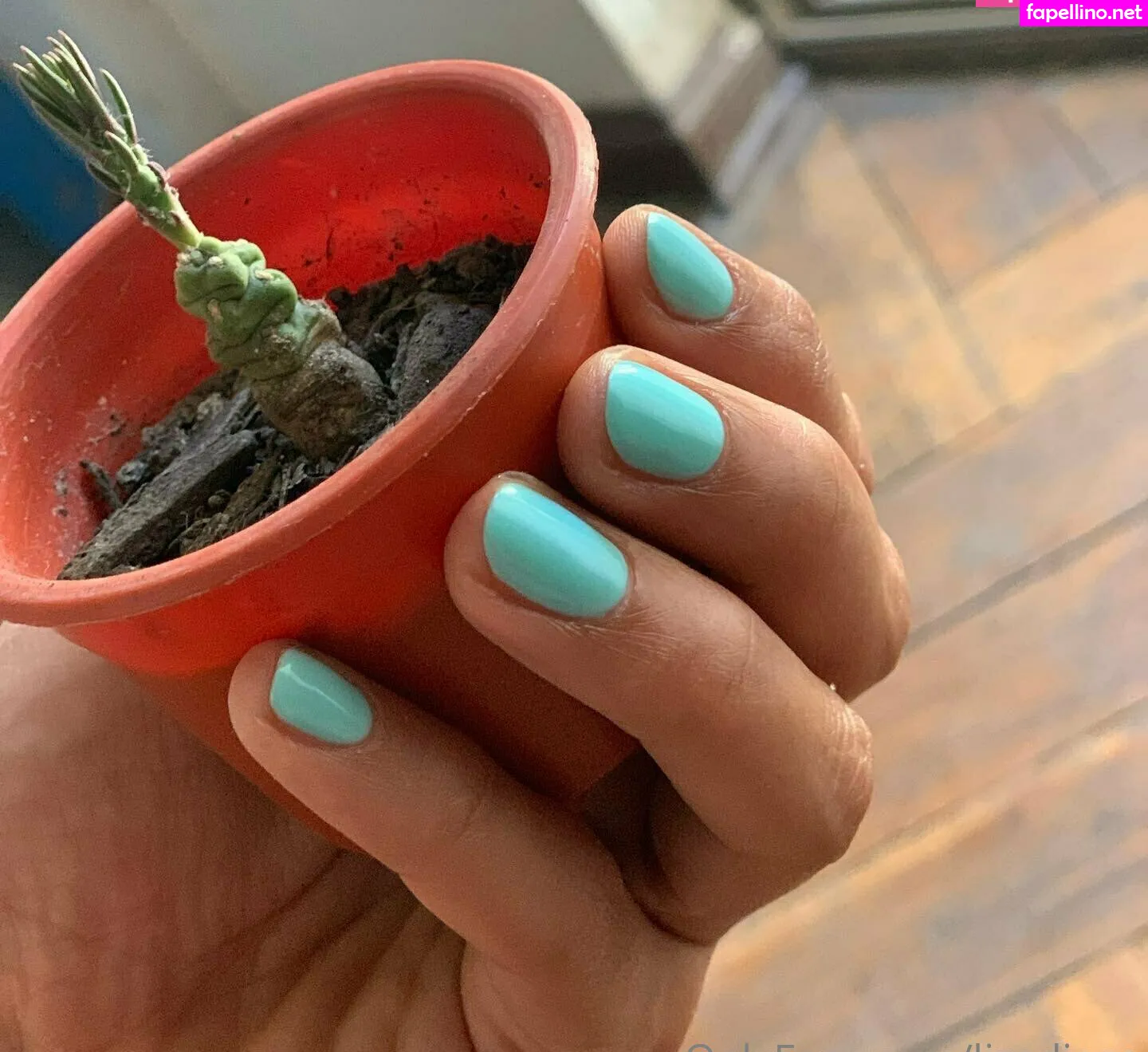 lizadios, lizadiosa Nude Leaked OnlyFans Photo #GTZ2wpBby8