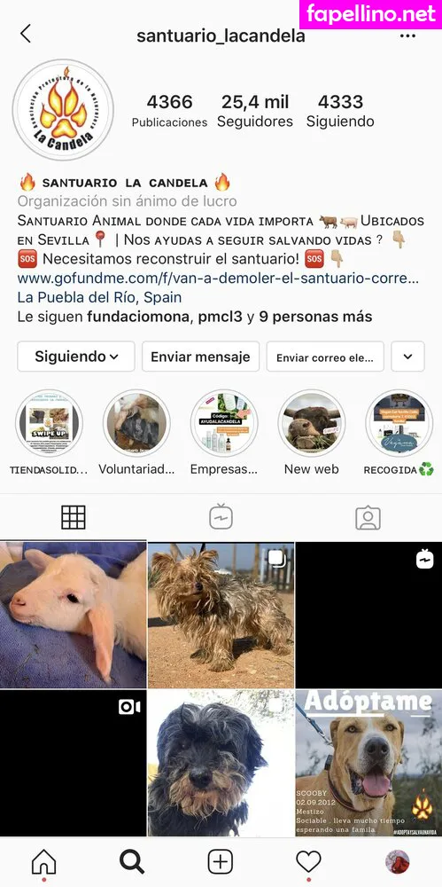 lo.lita18 Nude Leaked OnlyFans Photo #U1ccXXv3GC