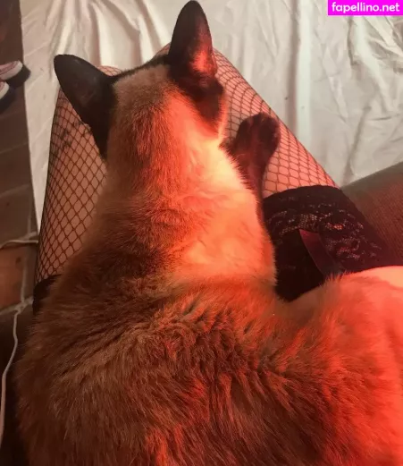 Locallbimbo OnlyFans Thumbnail #6WluIHB5ez