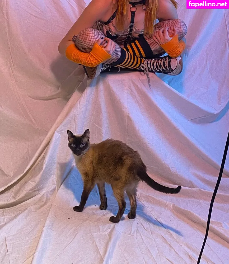 Juniper, locaibimbo, locallbimbo Nude Leaked OnlyFans Photo #BqZMFJsoMC